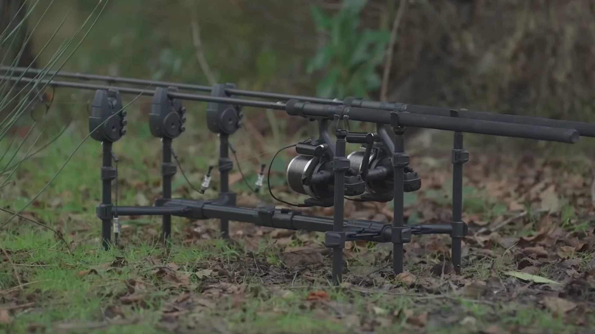 Master the Waters with NGT